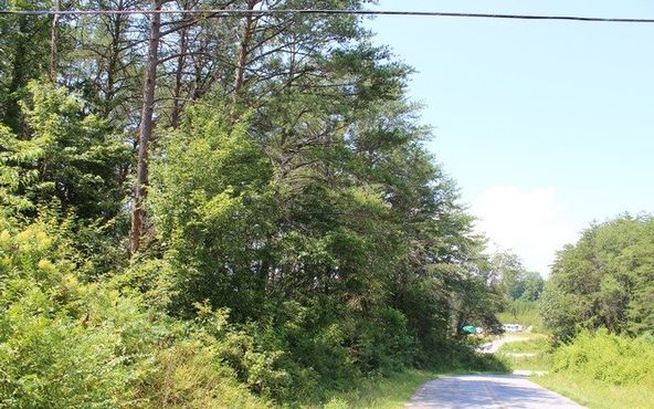 HWY 64 E-COLD BRANCH: Hwy 64 E-Cold Branch, Hayesville, NC 28904